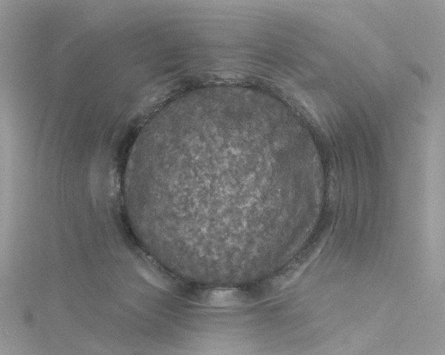 X0000115130173200911171207