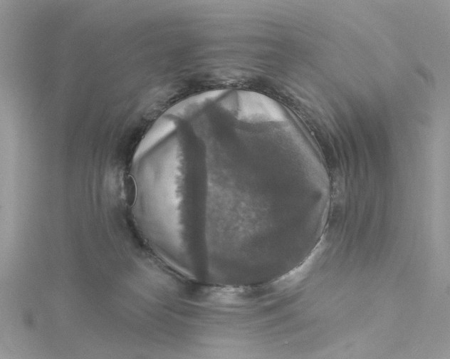 X0000115130182200911171208