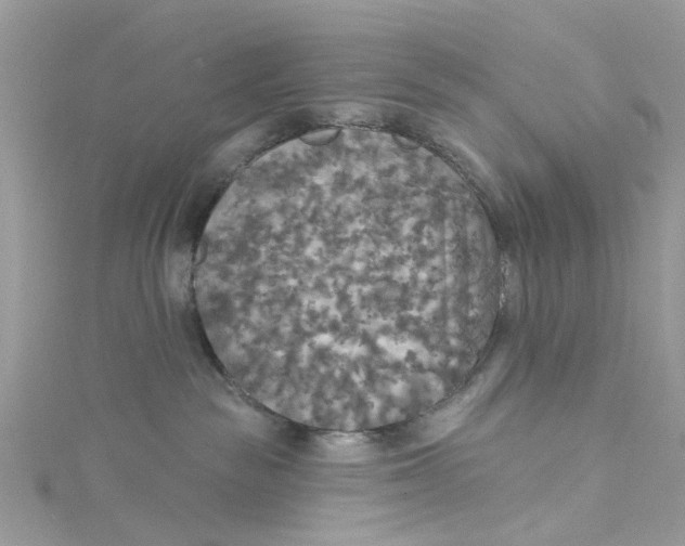 X0000115130189200911171208