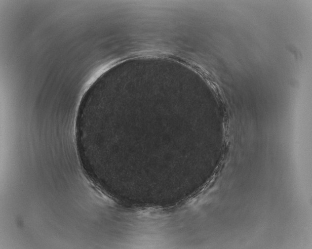 X0000115130196200911171207