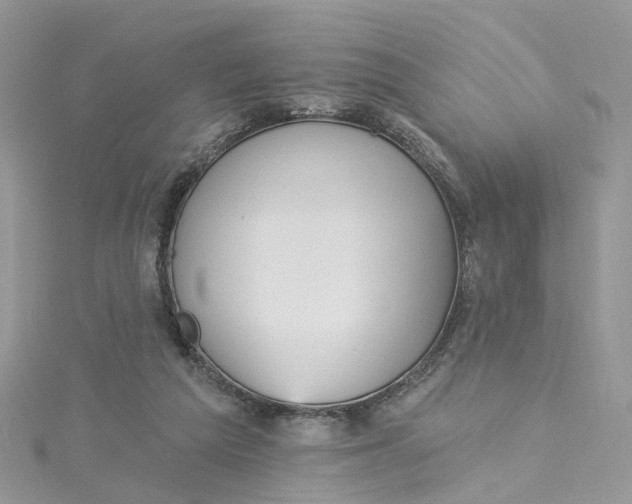 X0000115130209200911171207