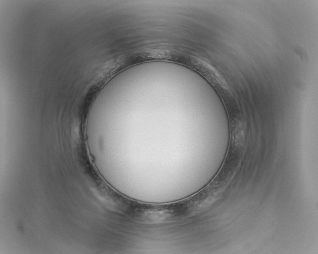 X0000115130213200911171207