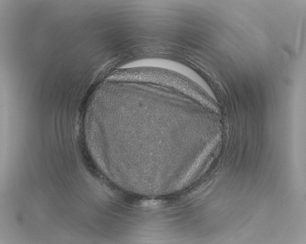 X0000115130216200911171207
