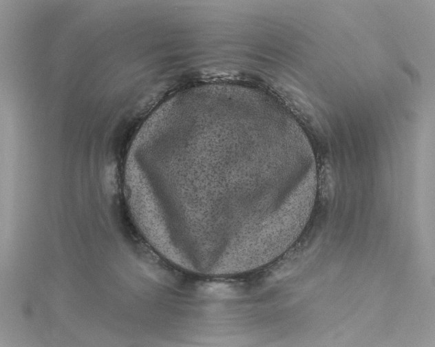 X0000115130224200911171207