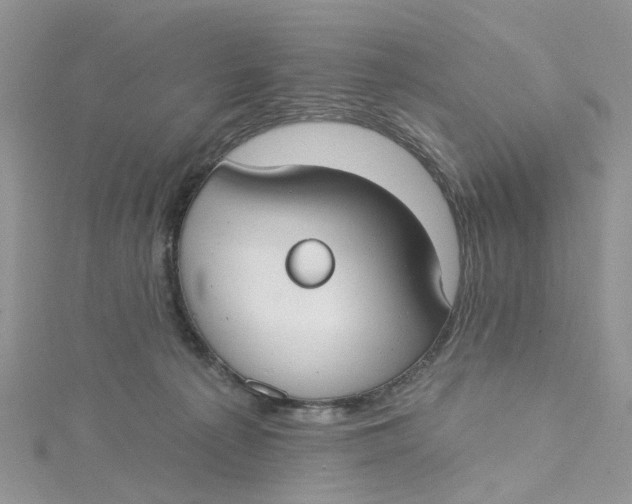 X0000115130225200911171207