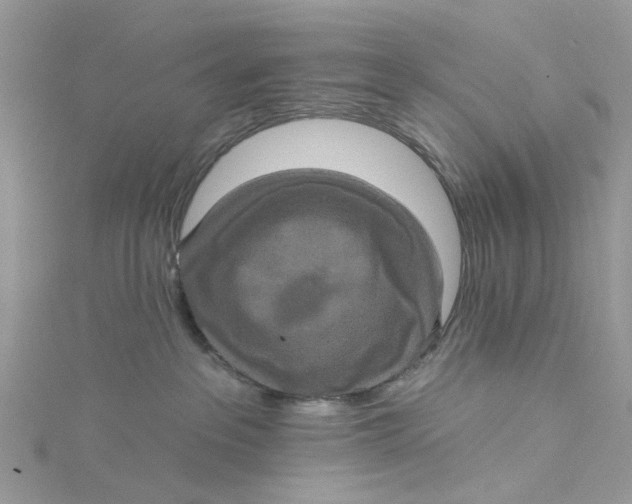 X0000115130237200911171206