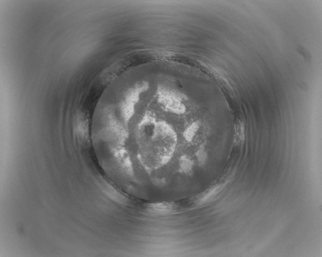 X0000115130238200911171206