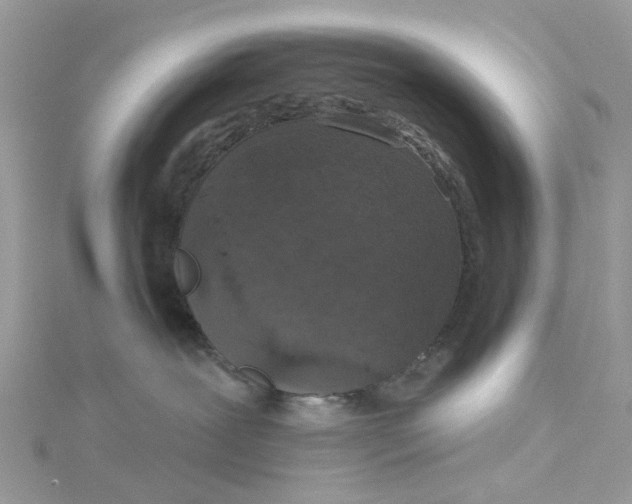 X0000115130239200911171206