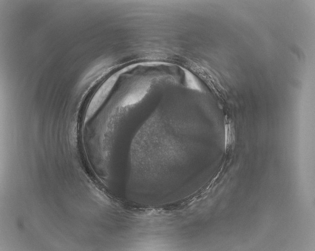 X0000115130243200911171206