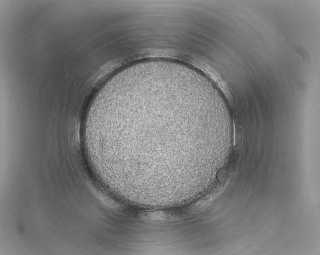 X0000115130253200911171206