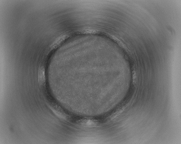 X0000115130254200911171206
