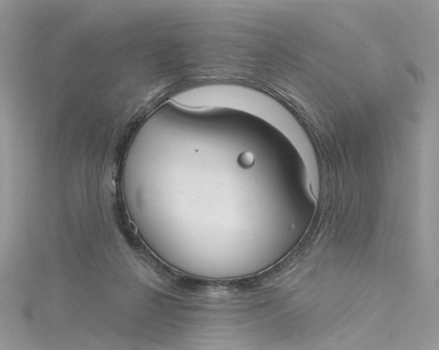 X0000115130264200911171206