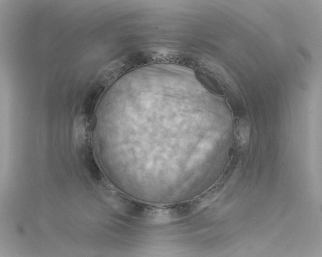 X0000115130276200911171206