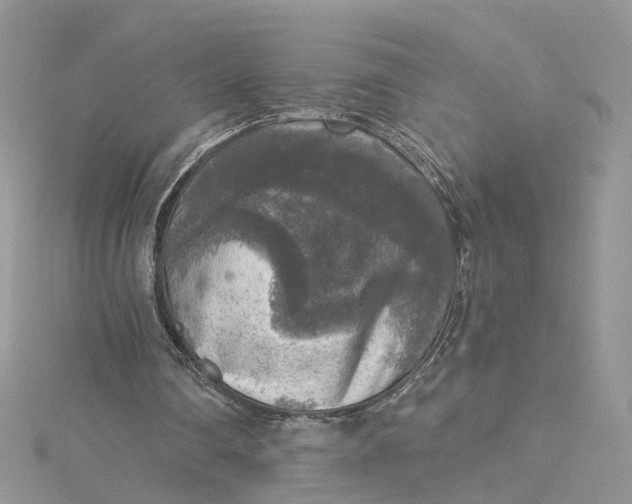 X0000115130290200911171206