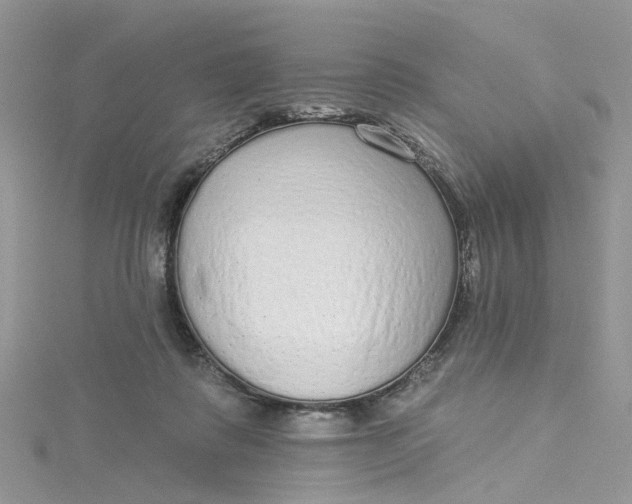 X0000115130315200911171205
