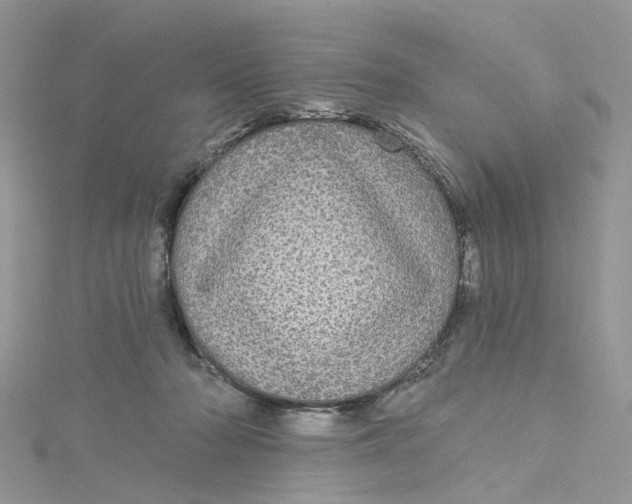 X0000115130318200911171205
