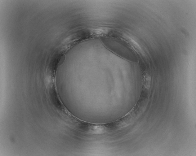 X0000115130324200911171205