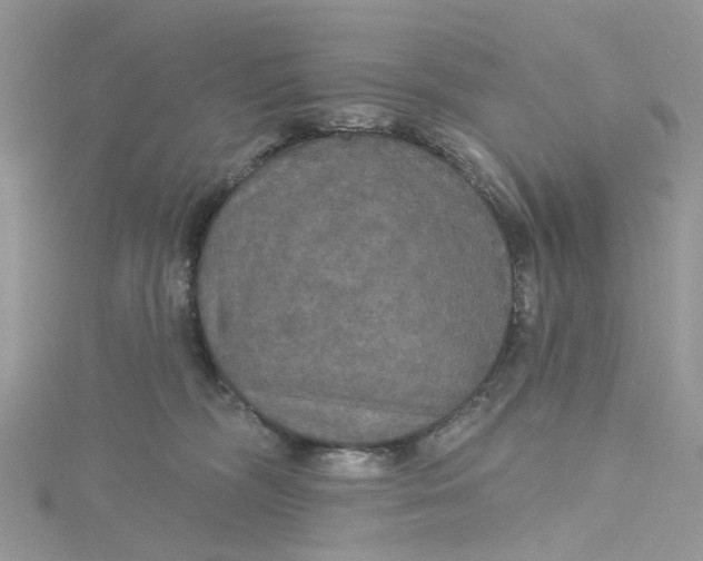 X0000115130326200911171205