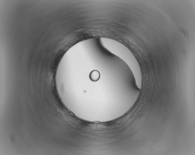 X0000115130327200911171205