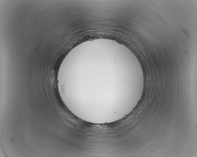 X0000115130328200911171205