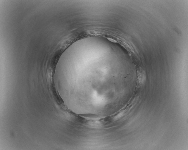 X0000115130332200911171205