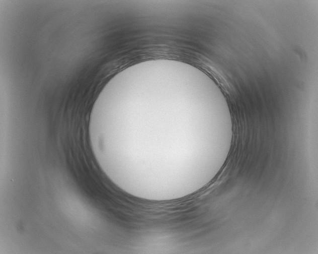 X0000115130333200911171205