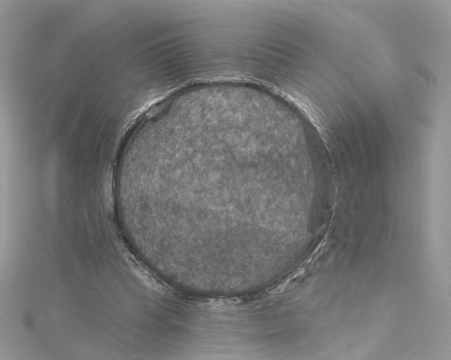 X0000115130345200911171205