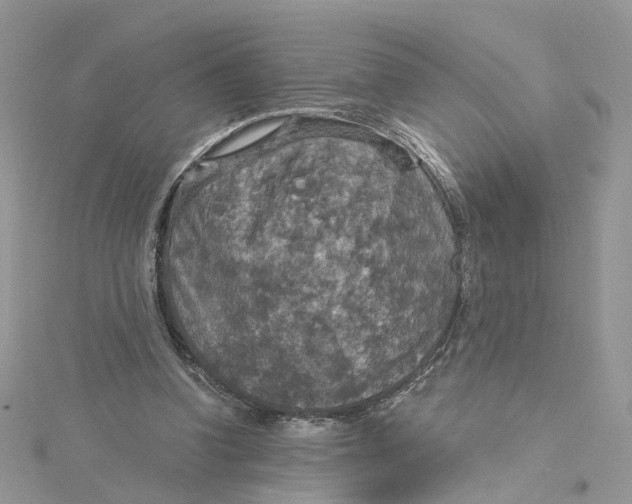 X0000115130346200911171205