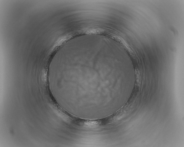 X0000115130357200911171205