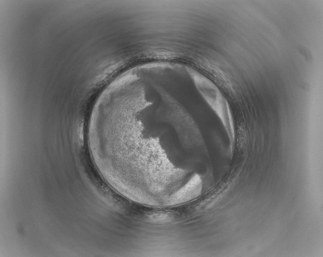 X0000115130358200911171205