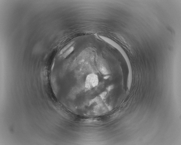 X0000115130366200911171205