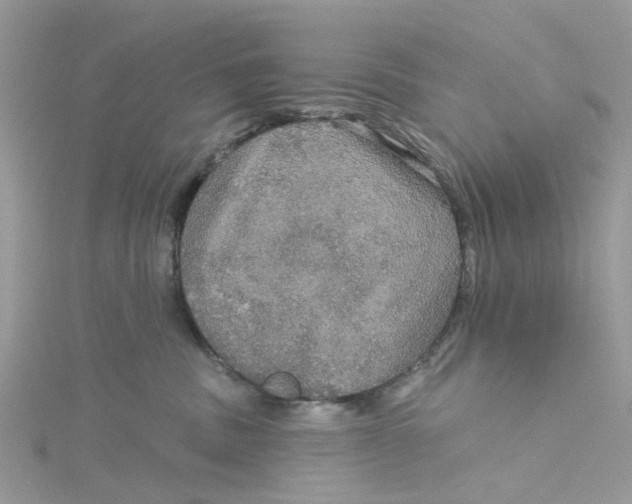 X0000115130379200911171205