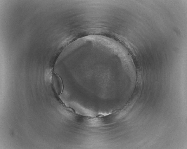 X0000115130383200911171205