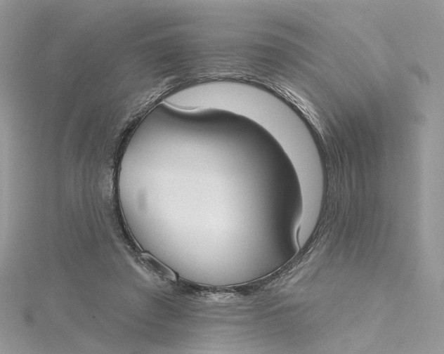 X0000115130401200911171204