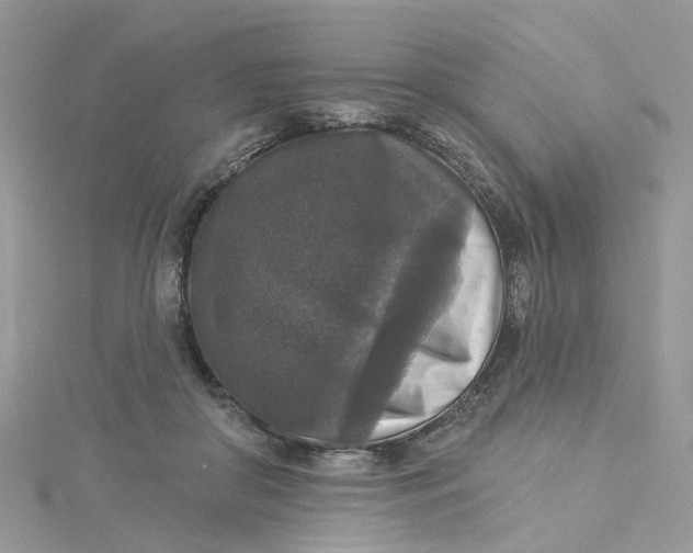 X0000115130410200911171204