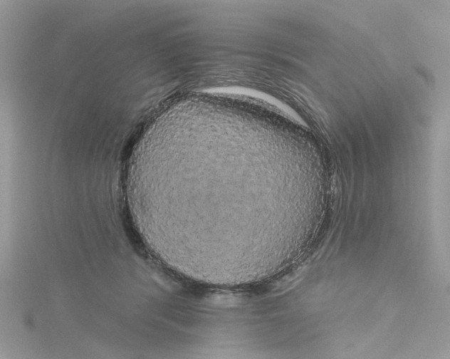 X0000115130416200911171204