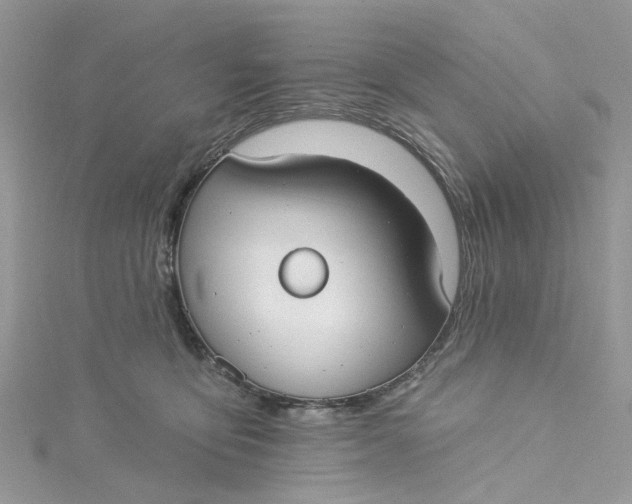 X0000115130419200911171204