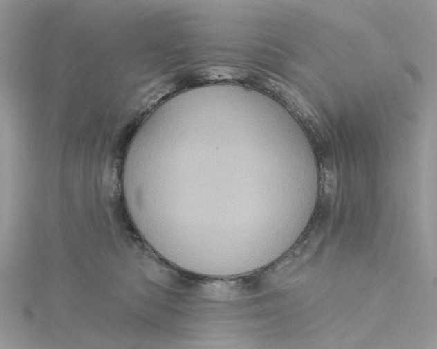 X0000115130422200911171204
