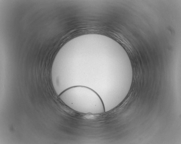 X0000115130425200911171204