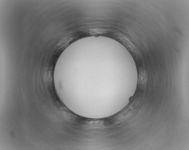 X0000115130426200911171204