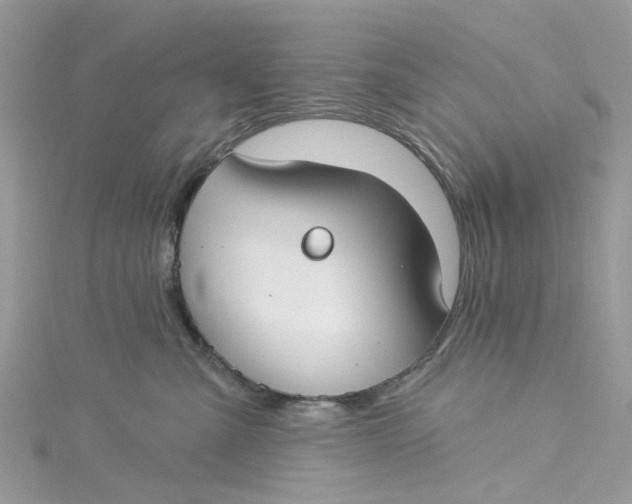 X0000115130427200911171204
