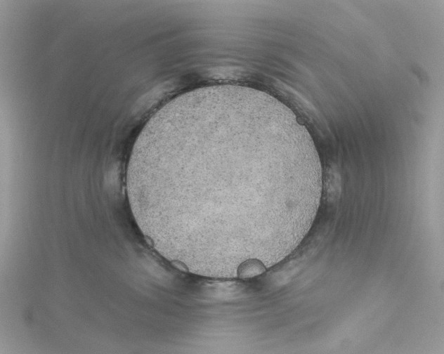 X0000115130428200911171204