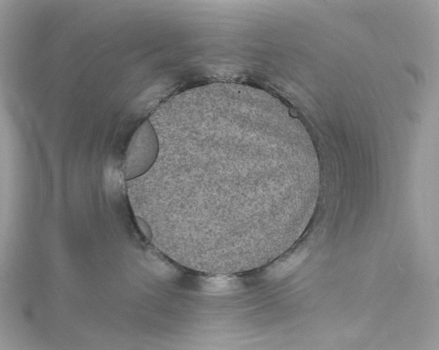 X0000115130432200911171204