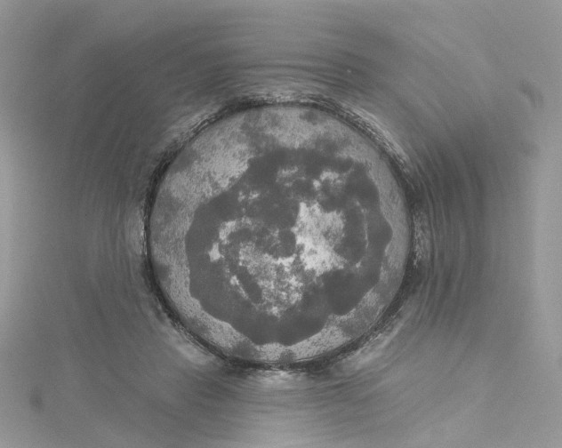 X0000115130453200911171204
