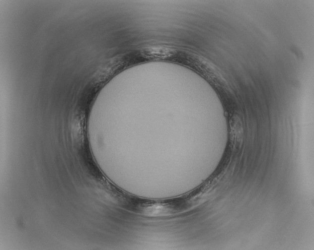 X0000115130460200911171204