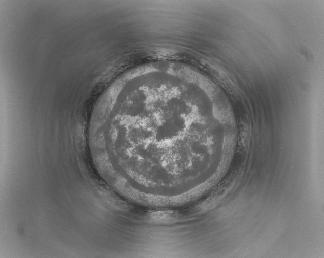 X0000115130461200911171204