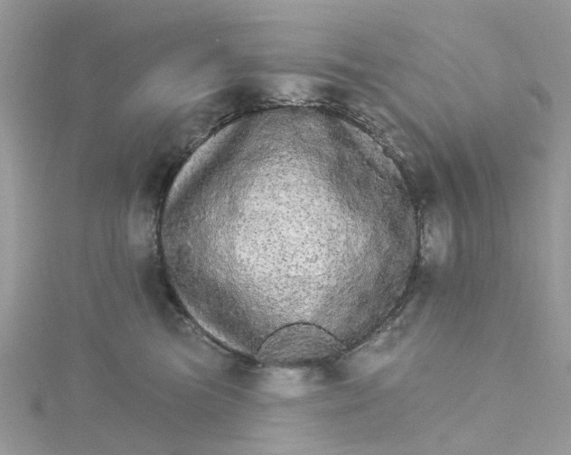 X0000115130473200911171204