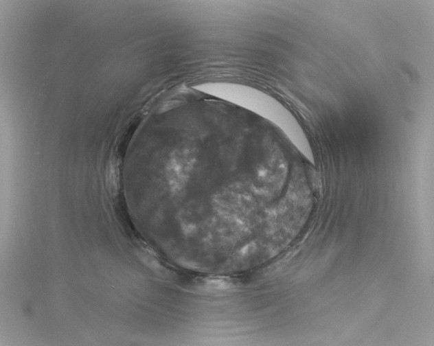 X0000115130475200911171204
