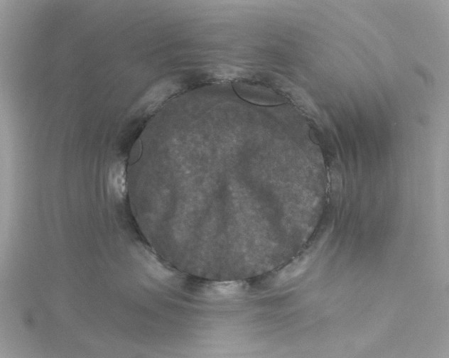 X0000115130479200911171204