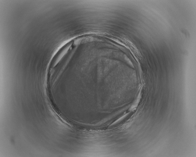 X0000115130484200911171203